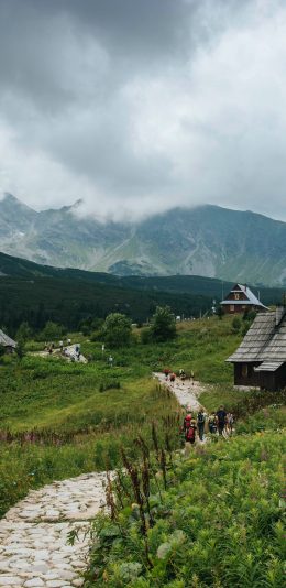 [电脑/手机]瑞士雪山下的居民图片