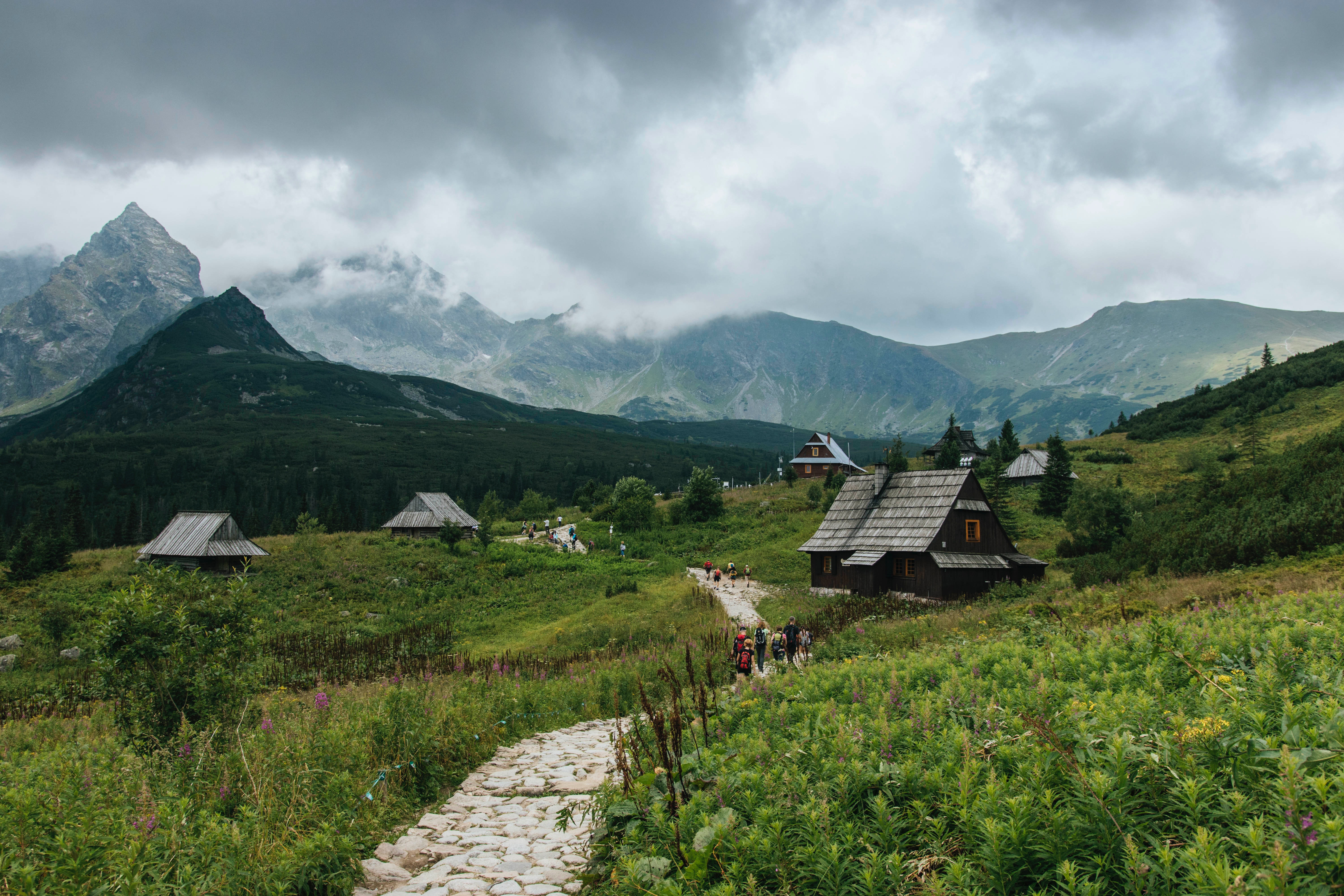 [电脑/手机]瑞士雪山下的居民图片