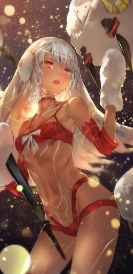 fate阿蒂拉 竖屏4k动漫手机壁纸