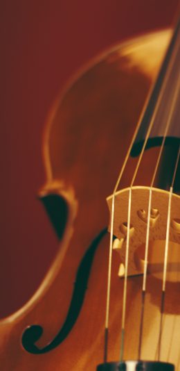 小提琴4K手机壁纸