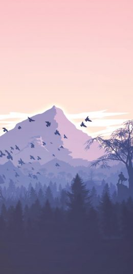 [2K 2560x1440]森林 超清4K电脑壁纸