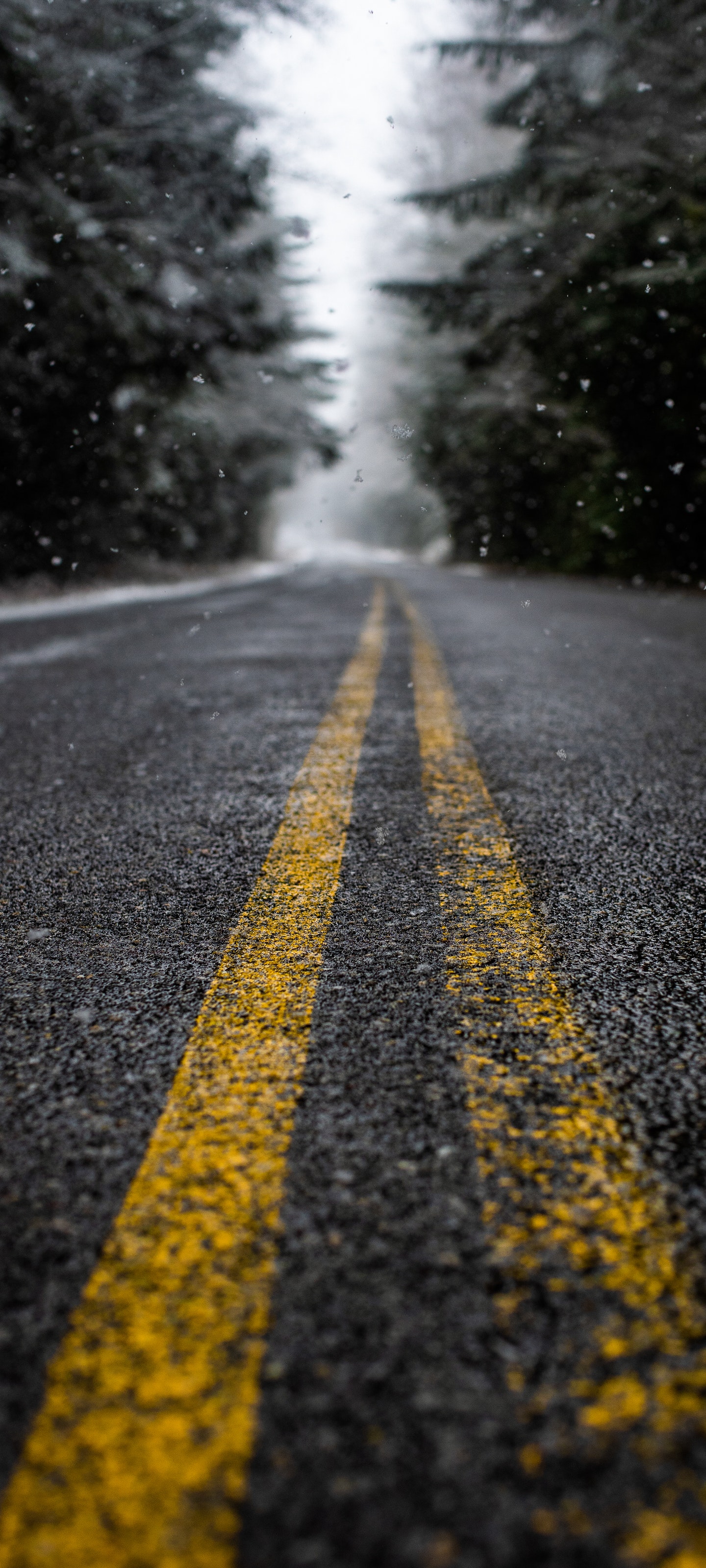 3200×1440 公路