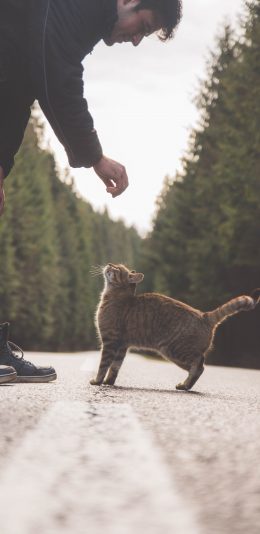 非常暖心的爱猫人士 手机壁纸