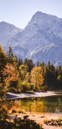 2K 3200x1440手机壁纸 蓝天 湖水 枫叶林