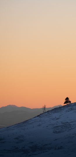 [3200x1440]黄昏风景图片壁纸