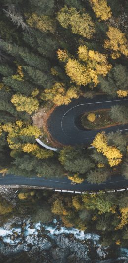 2K 3200x1440 20:9手机壁纸 弯曲的树林公路