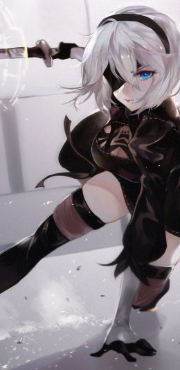 《尼尔：机械纪元》2B2k电脑桌面壁纸