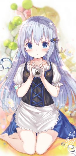 《请问您今天要来点兔子吗》香风智乃手机壁纸