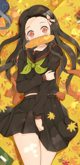 《鬼灭之刃》灶门祢豆子4k手机壁纸竖屏动漫2160x3840