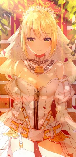 嫁王Saber Bride 尼禄克劳狄乌斯 4k动漫竖屏手机壁纸