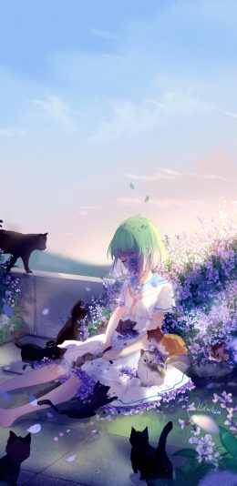 小女孩 鲜花 猫 4k动漫手机壁纸竖屏