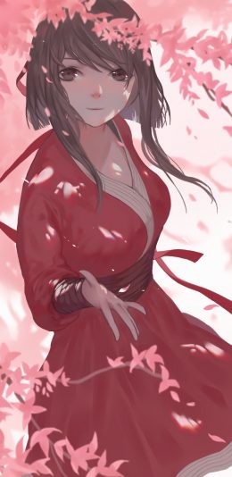 狐妖小红娘 律笺文1080x1920手机壁纸