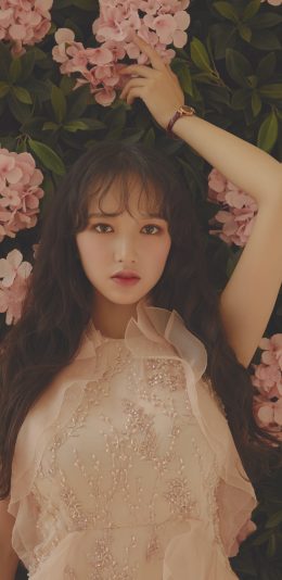 程潇 鲜花 唯美写真4k手机壁纸竖屏美女