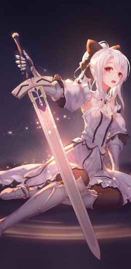 美少女 剑 伊丽亚4k全面屏手机壁纸